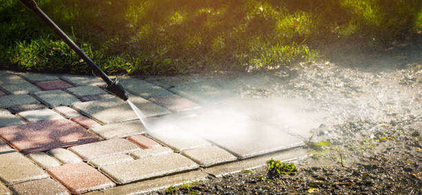 Best Roof Washing  in Rainsville, AL